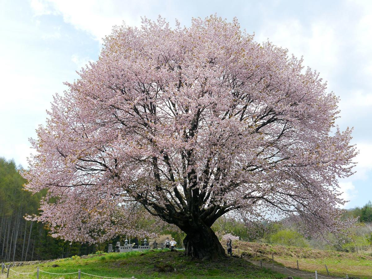 Pension Green Field Katashina المظهر الخارجي الصورة