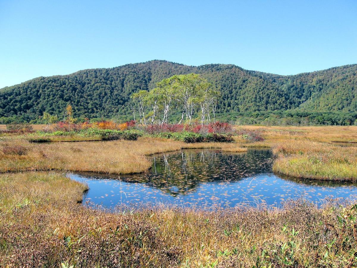 Pension Green Field Katashina المظهر الخارجي الصورة